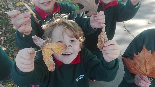 Autumn Fun