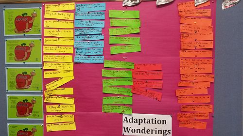 Adaptation learning