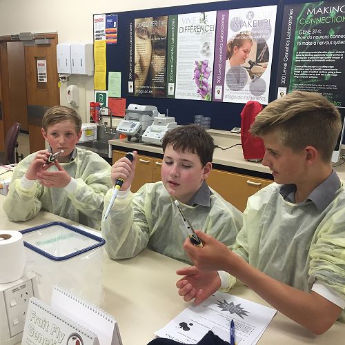 Testing DNA Samples in the Lab