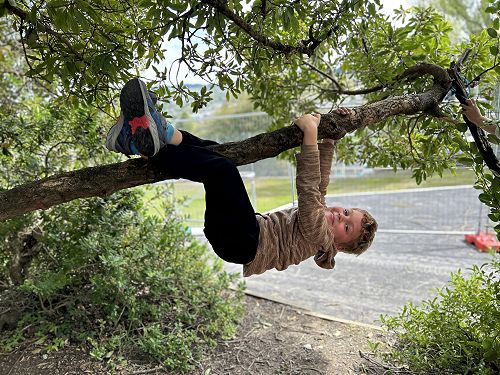 We love our trees