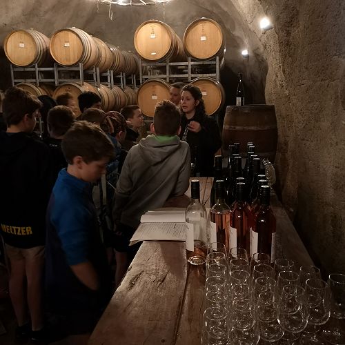 Gibbston Valley Winery