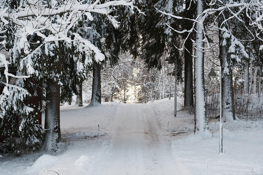 Robyn Maree Pickens awarded writing residency at Saari Residence in Finland