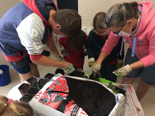 Gardening