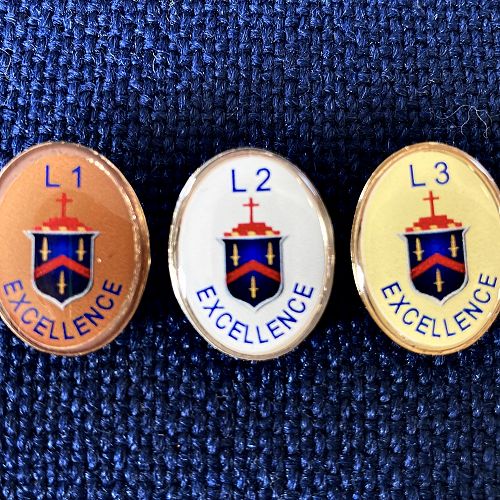NCEA Excellence Badges