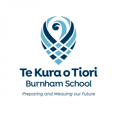 Organisation logo