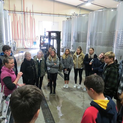White wine vats...