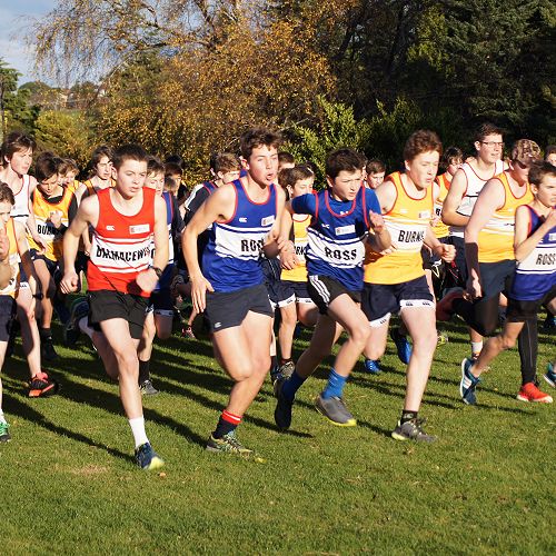 The Novice/Junior cross country begins
