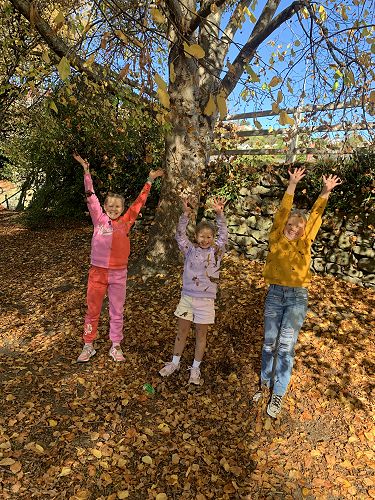 Autumn at Nairn Street park at lunch time