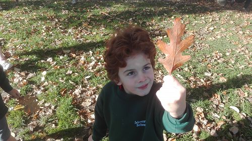 Autumn Fun
