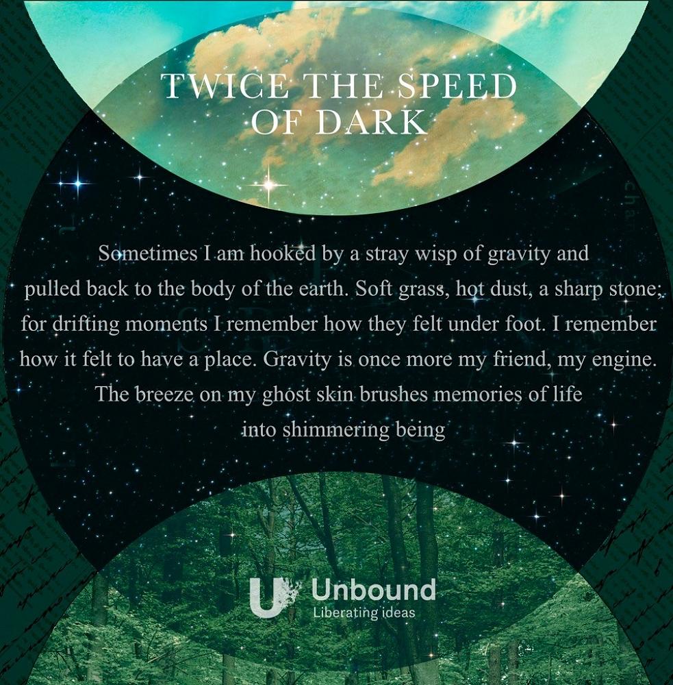 Twice the Speed of Dark by Lulu Allison