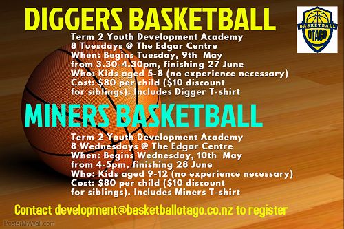 Basketball Diggers
