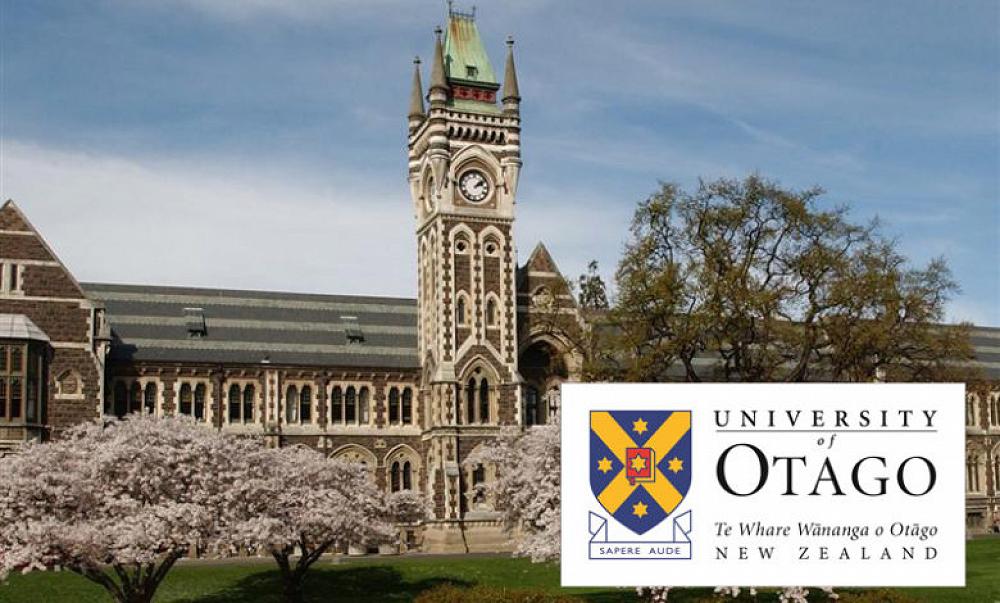 Application forms and information for the 2023 University of Otago Fellowships are now available