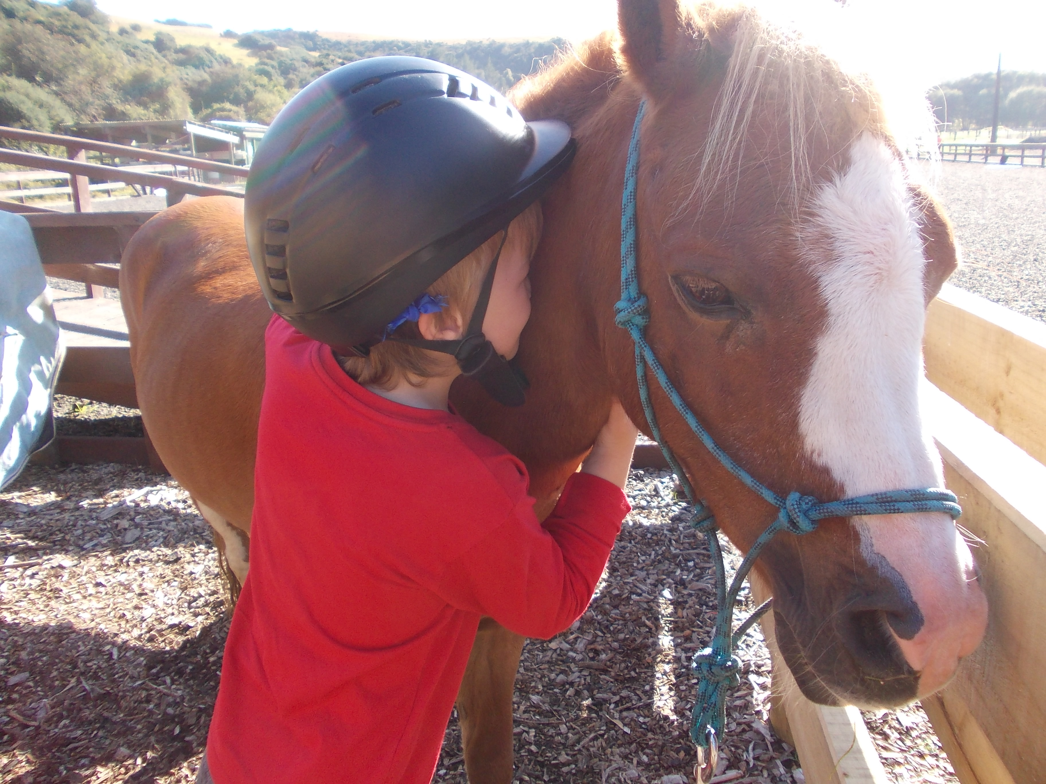 RDA - Kaikorai students get a therapeutic experience from horse riding!