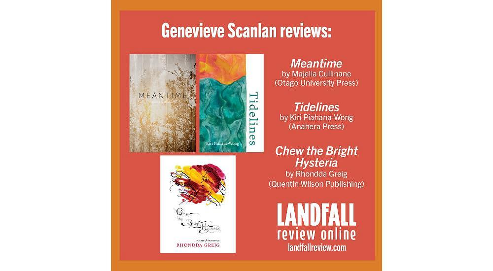 'Grief Momentarily Suspended' - Genevieve Scanlan reviews:
