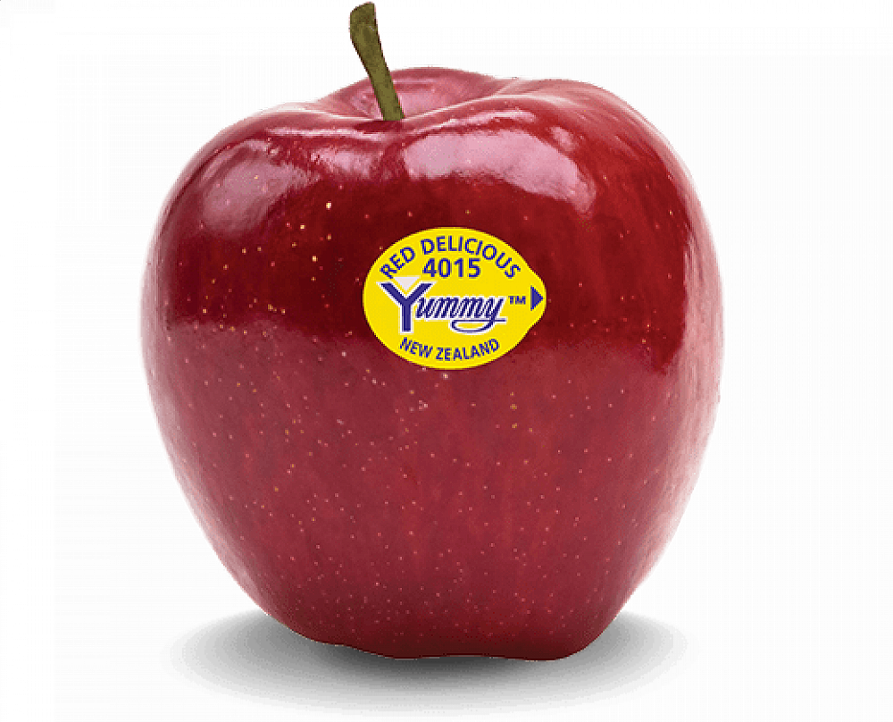Yummy stickers — Term 2, 2026 - Newsletter 5
