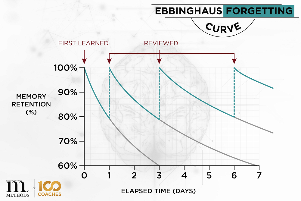 Science of Learning- Part Three — Straven Road, Week 5, Term 2