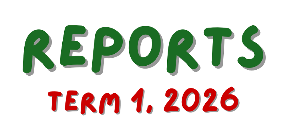 Reporting