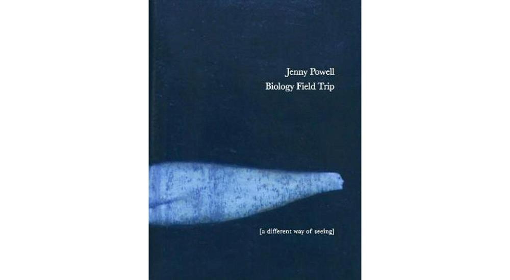 Review: Insightful collection from South D Poet Lorikeet