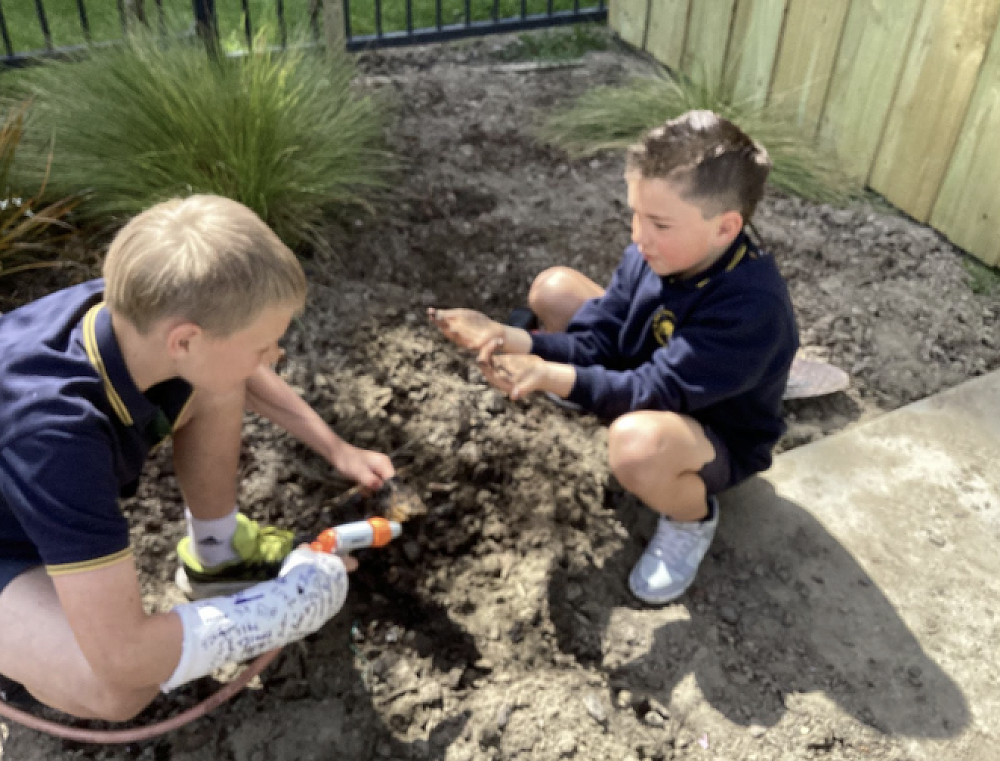 Native Tree Planting