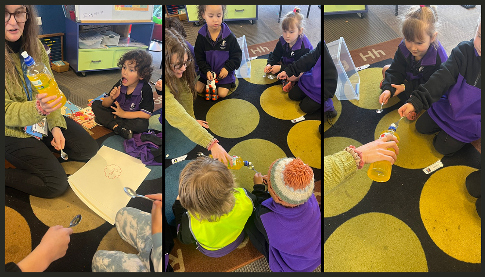 Passion Project - My Calming Toolbox — Project Based Learning School Wide
