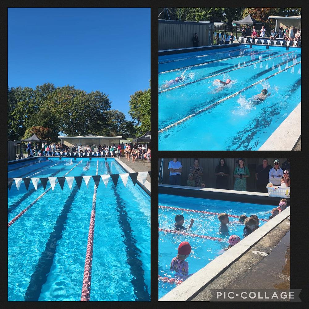 Swimming super stars!