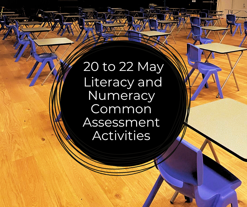 Literacy and Numeracy Common Assessment Activities (CAA) — Newsletter ...