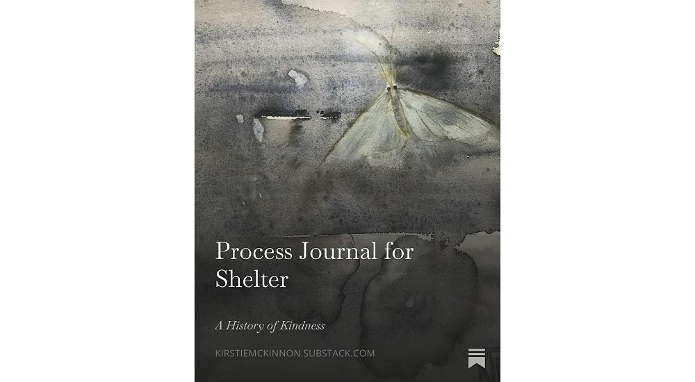 Process Journal for Shelter