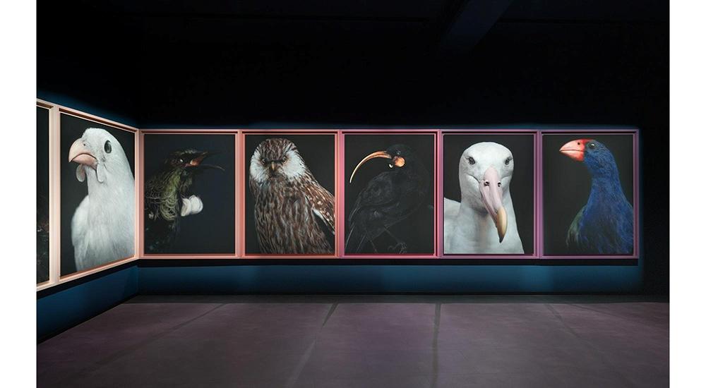 Aotearoa manu take world art stage as 61st Venice Biennale opens
