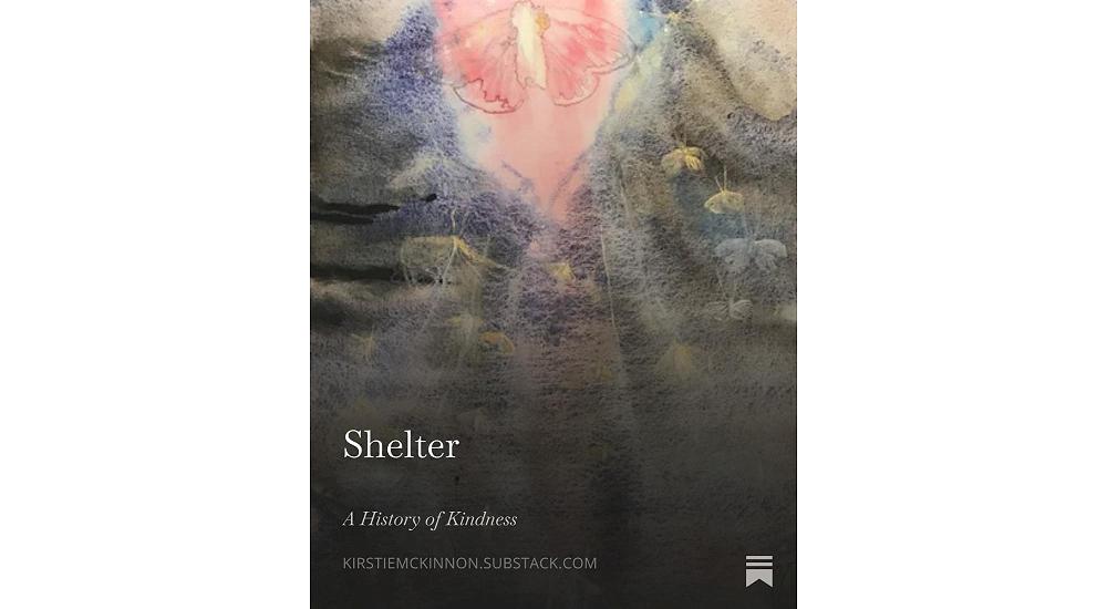 A History of Kindness - 'Shelter'