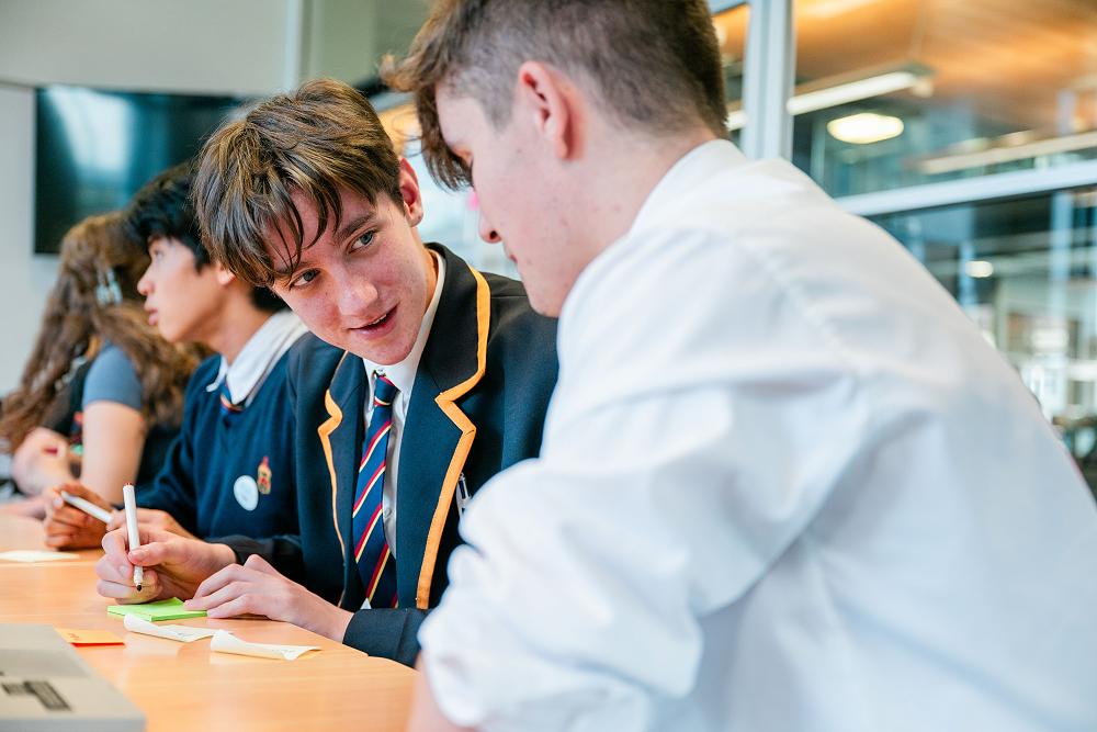 Te Ara Tīrama: Youth Impact Network