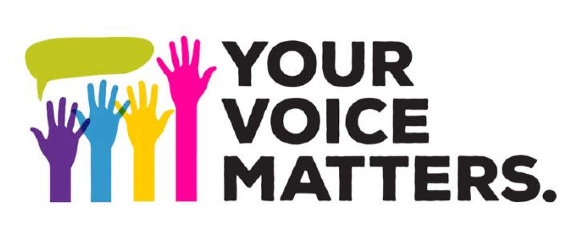 Voices heard end of Term 2 update