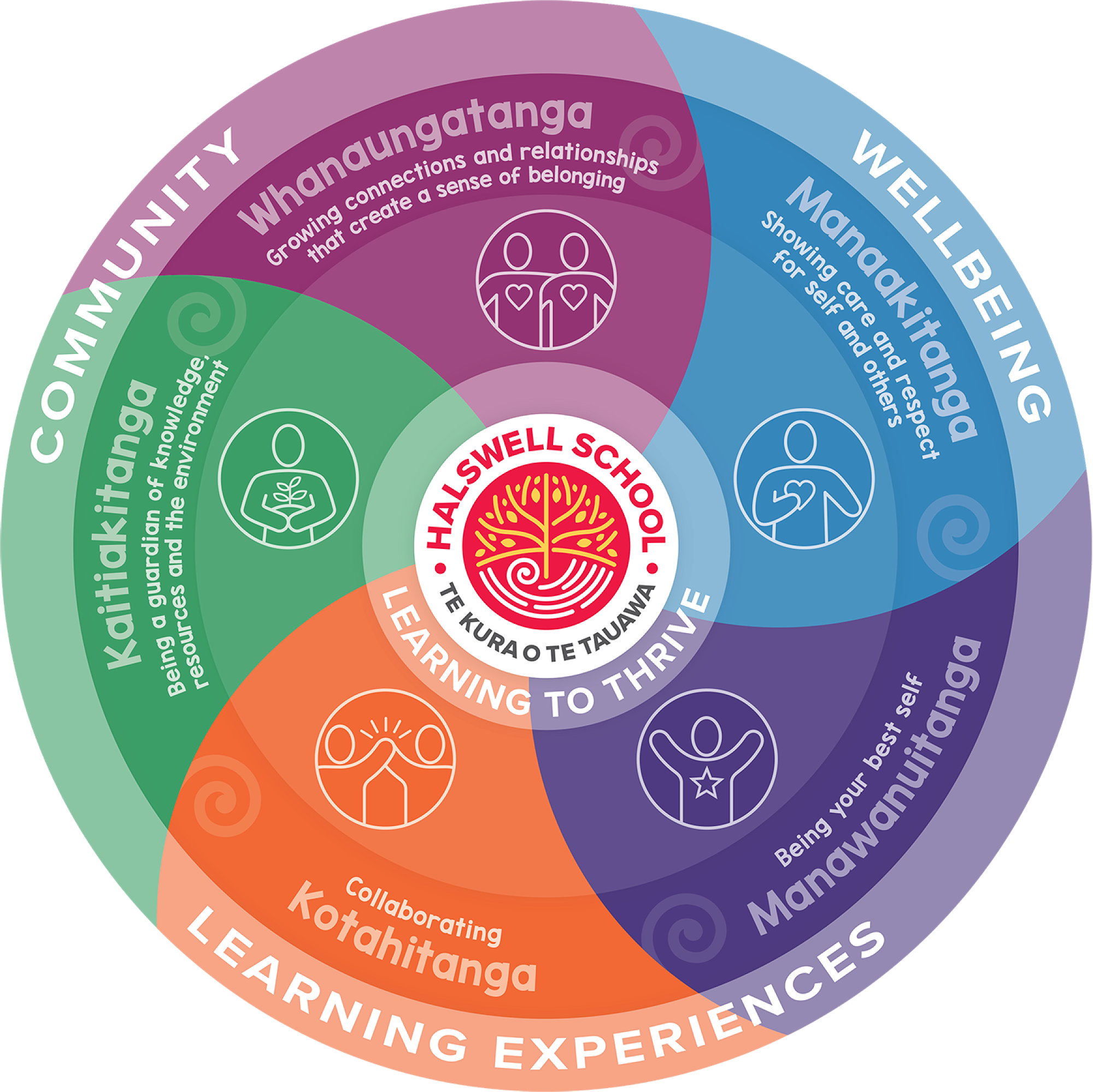 Supporting Student Wellbeing Through Weekly Check-Ins