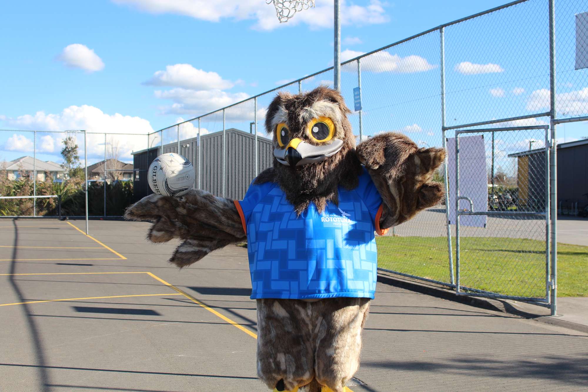Netball Rep Sections