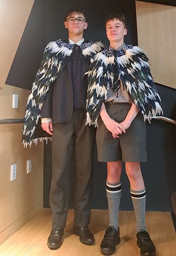 Mana Pounamu Awards