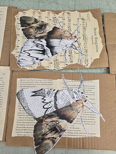 9/10 Mixed Media: Insect drawing in Ink — Waimate High School Newsletter