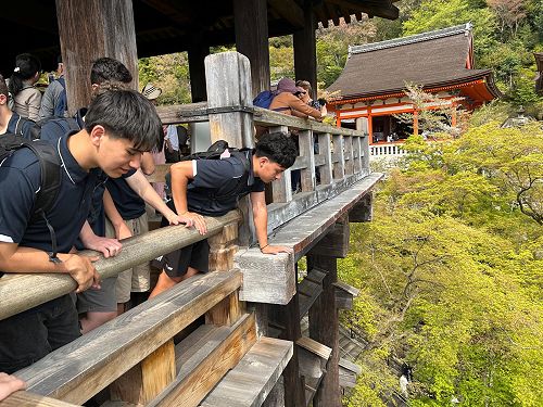 Japanese Language and Culture Tour 2025