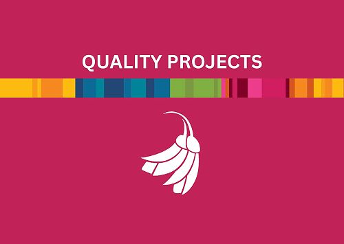 Quality Projects