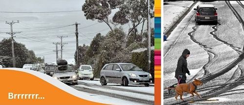 Winter Scenes Dunedin