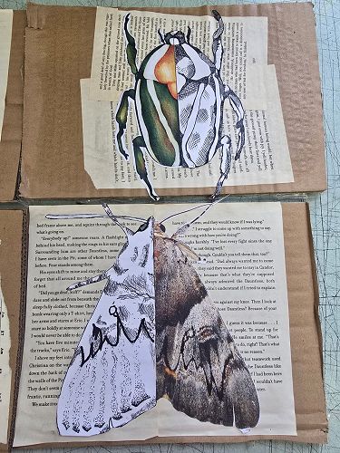 9/10 Mixed Media: Insect drawing in Ink — Waimate High School Newsletter