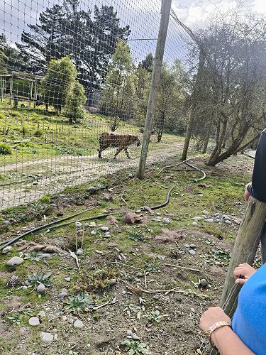 Orana Park