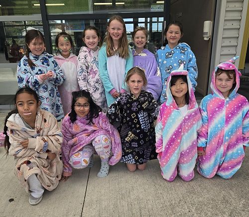 Onesie / Oodie Day