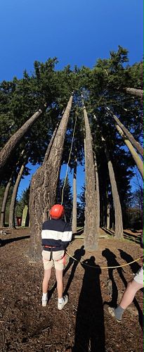 Outdoor Ed High Ropes