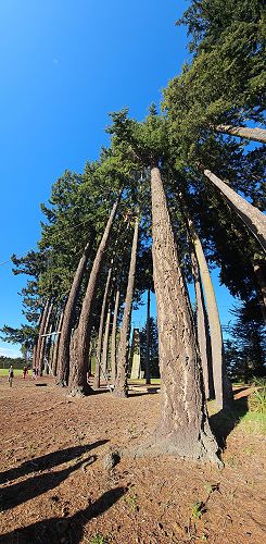 Outdoor Ed Ropes Course