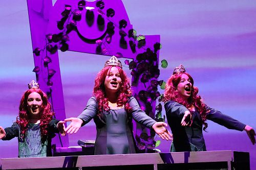 Isabel Crawford - Playing Fiona in Shrek Jr