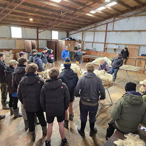 What makes a good fleece?