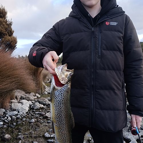 Ollie Rongen with a good one!