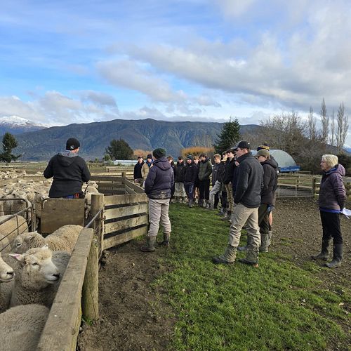 Whare Creek Station