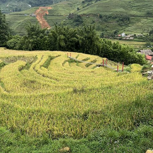 McGlashan Vietnam Trip 2024