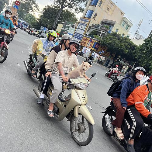 McGlashan Vietnam Trip 2024