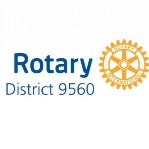 Organisation logo